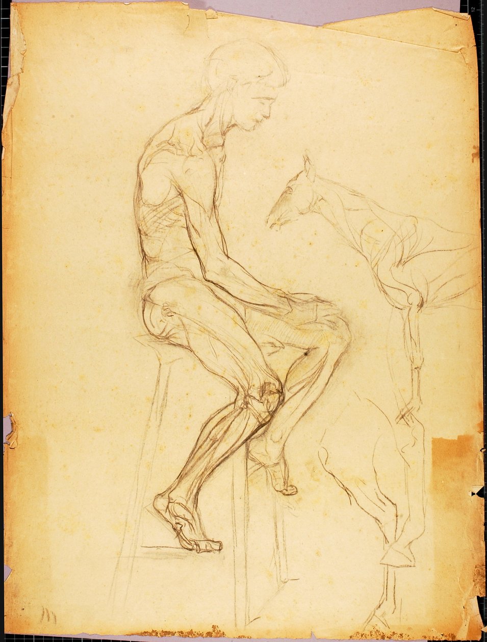 Garçon - Solon H. Borglum