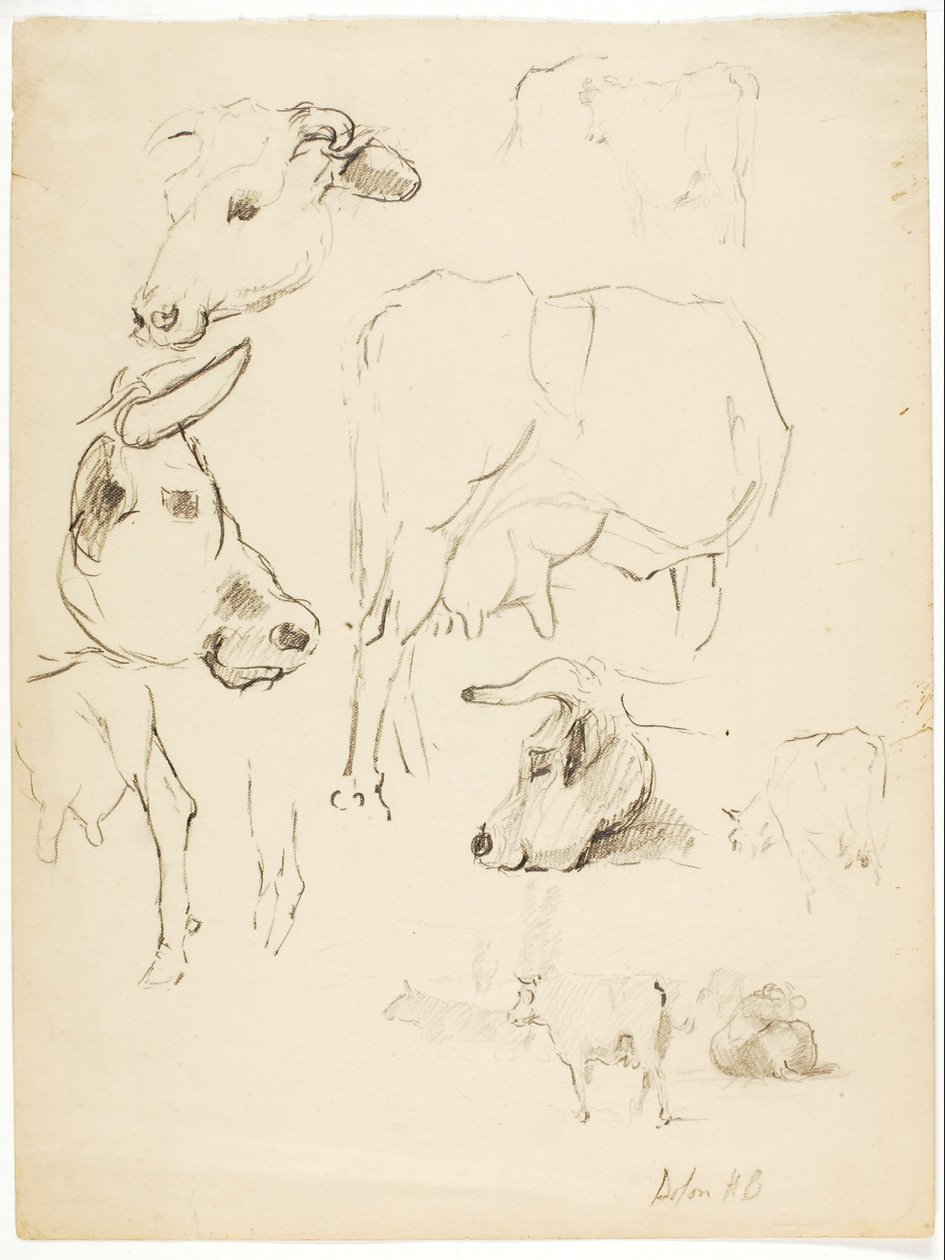 Vaches - Solon H. Borglum