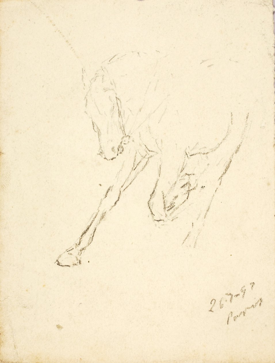 Cheval - Solon H. Borglum