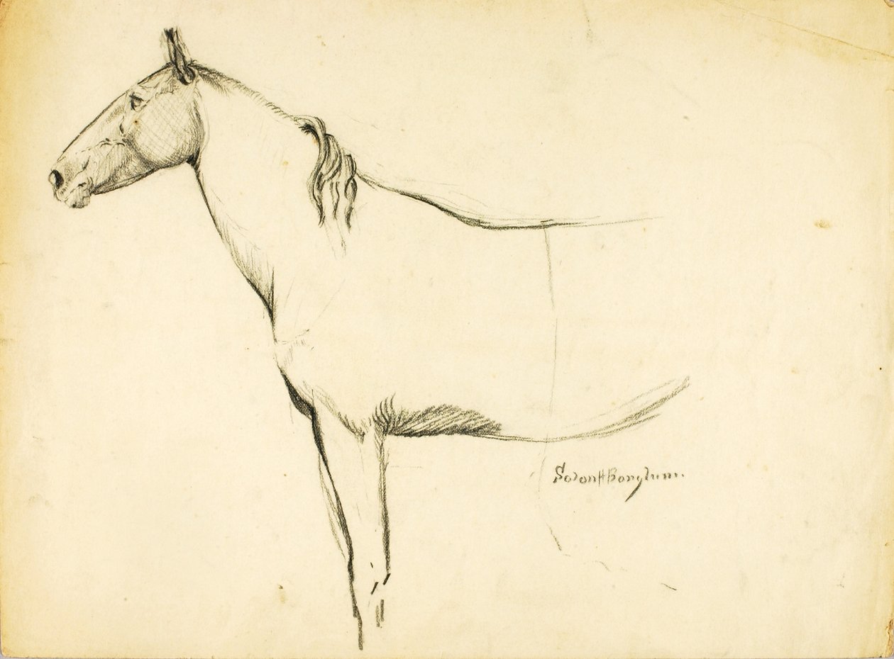 Cheval - Solon H. Borglum