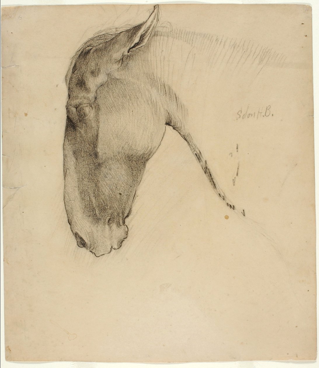 Tête de cheval - Solon H. Borglum