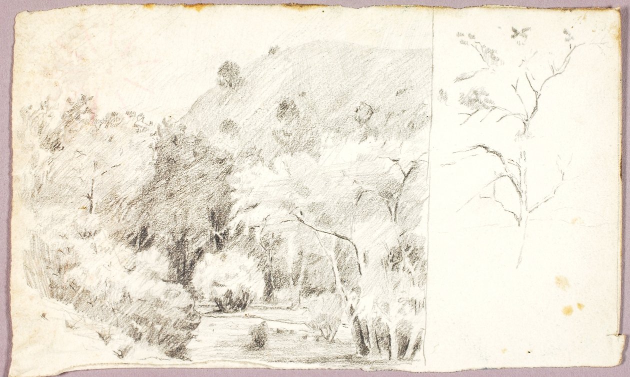 Paysage - Solon H. Borglum