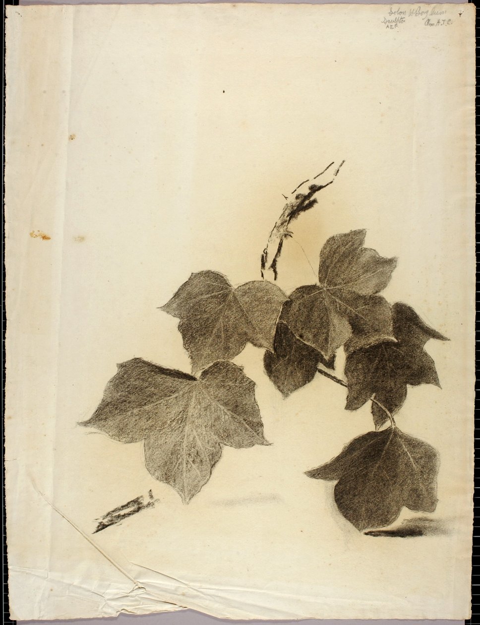 Feuilles - Solon H. Borglum