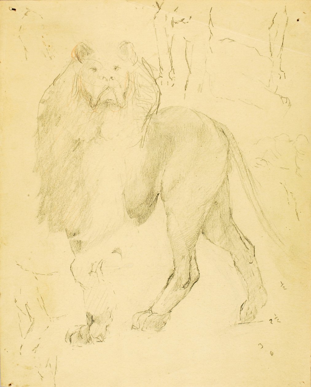 Lion - Solon H. Borglum