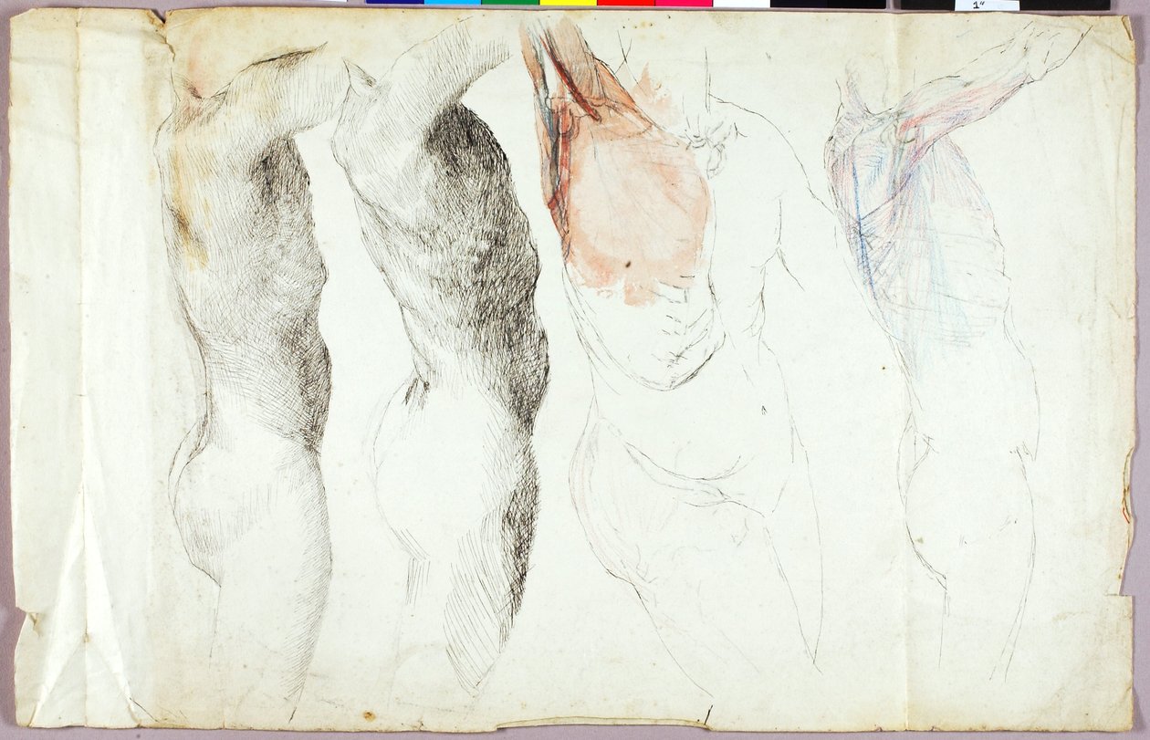 Études de nu - Solon H. Borglum