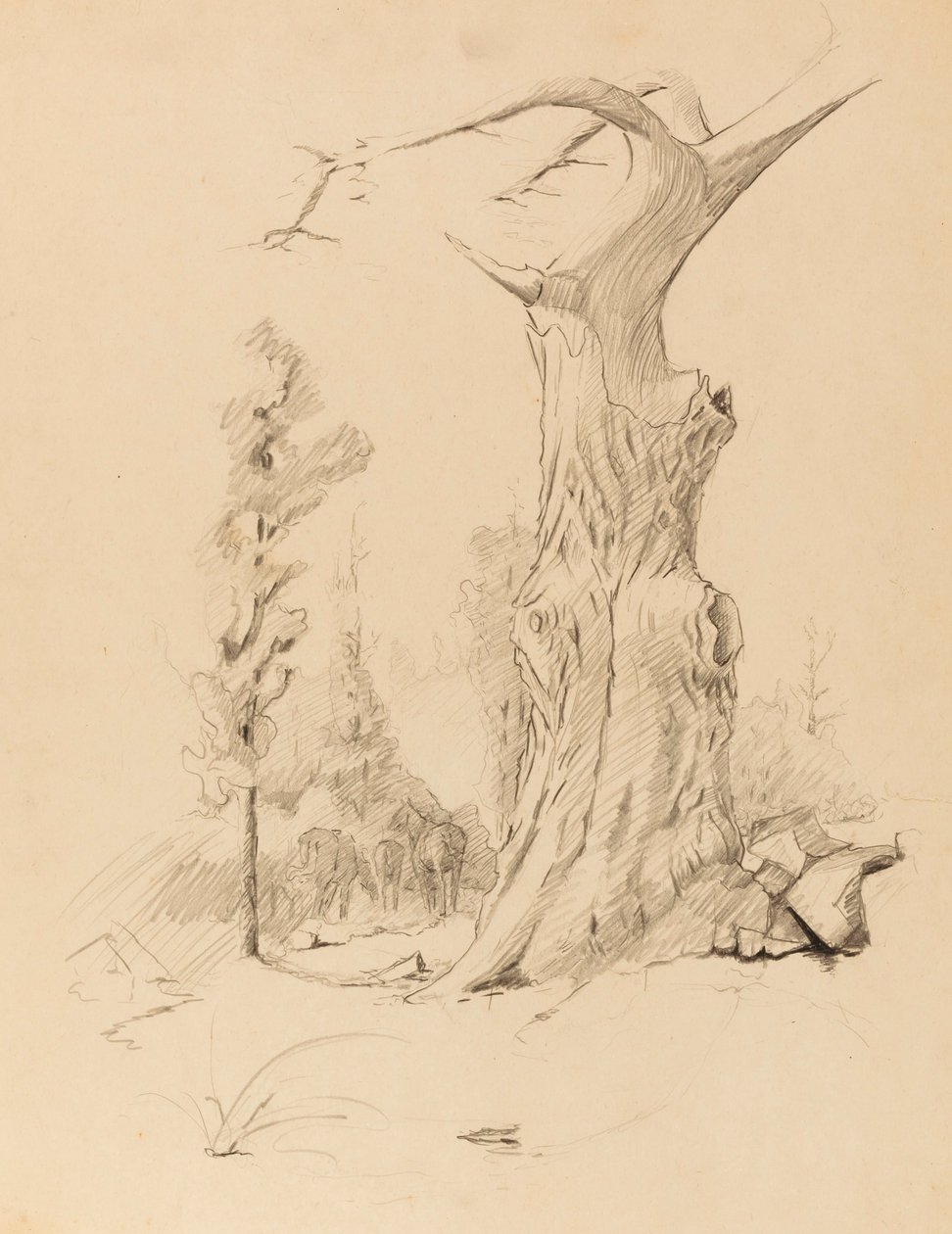 Sans titre - Solon H. Borglum