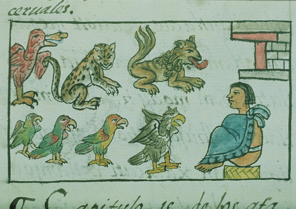 Ms Palat. 218-220 Livre IX Animaux de l