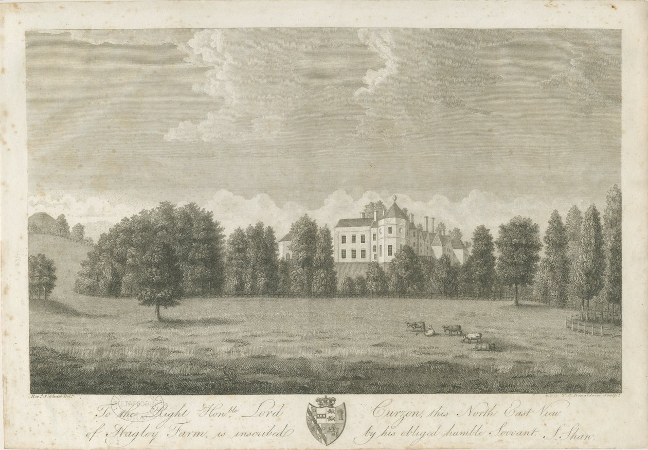 Hagley Hall - Stebbing Shaw