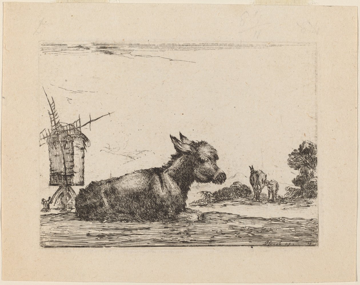 Âne au repos - Stefano della Bella