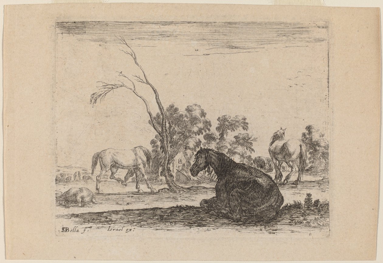 Chevaux dans un Pâturage - Stefano della Bella