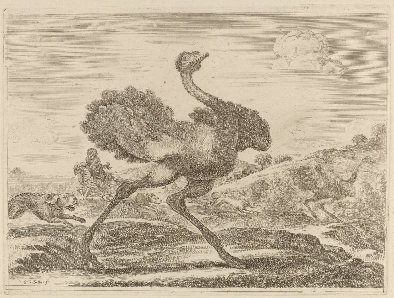 Chasse à l