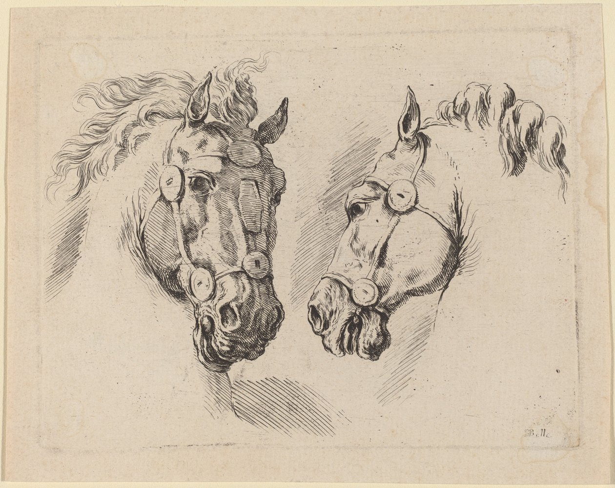 Deux têtes de cheval, probablement 1649 - Stefano della Bella