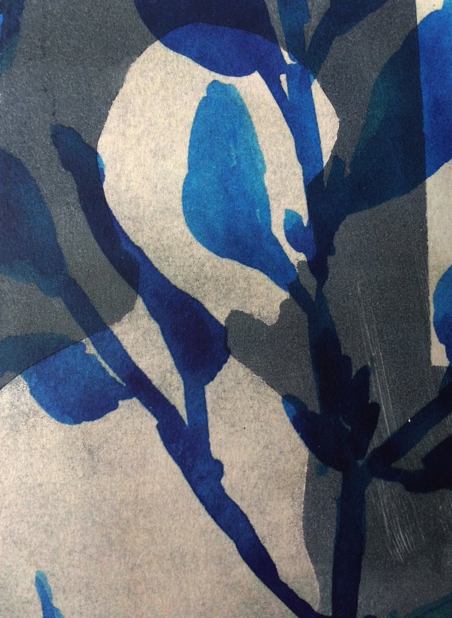Argelouse II, 2016 (numérique) - Stephen Dow