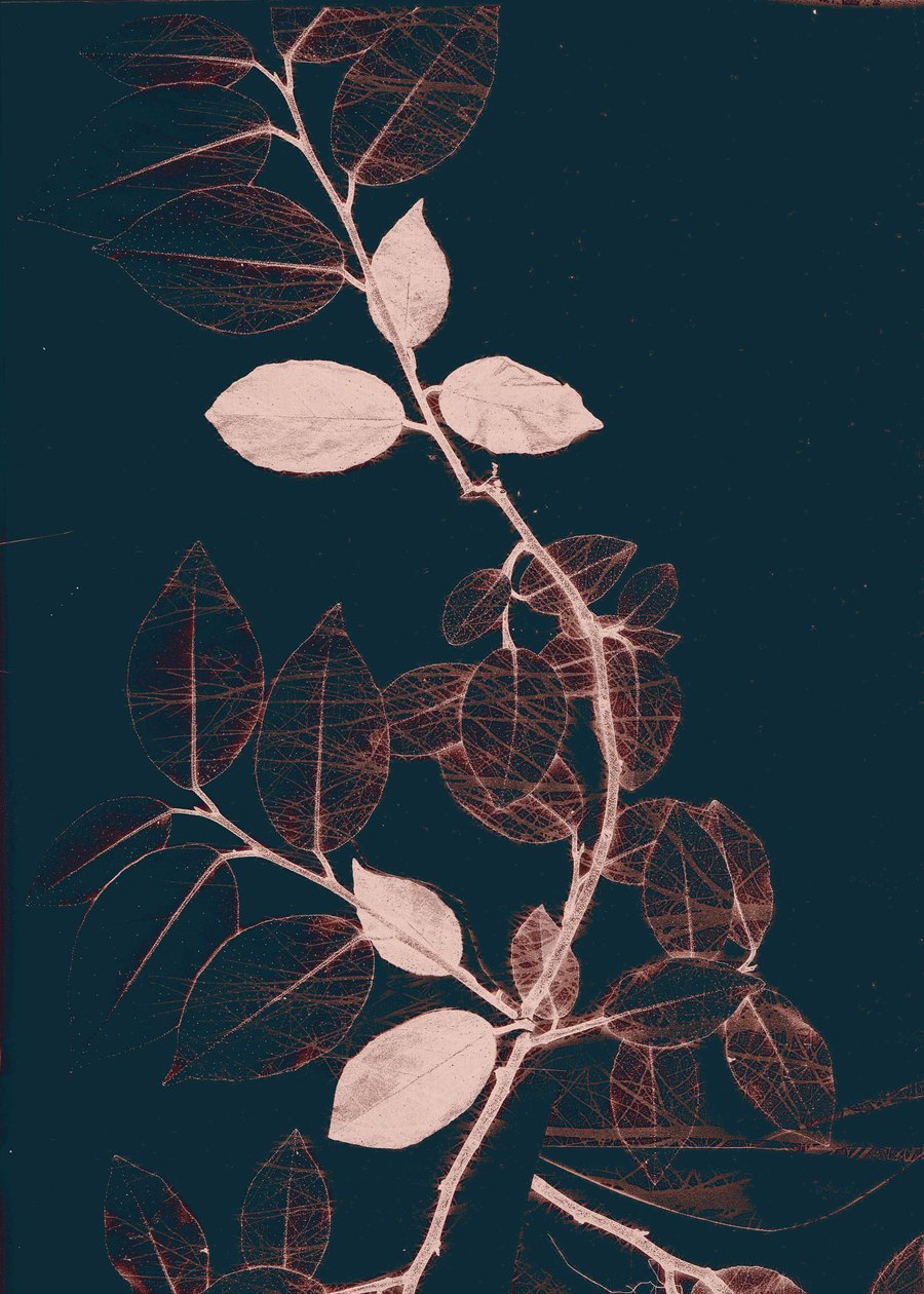 Freyr VII Dark Copper, 2018 (numérique) - Stephen Dow