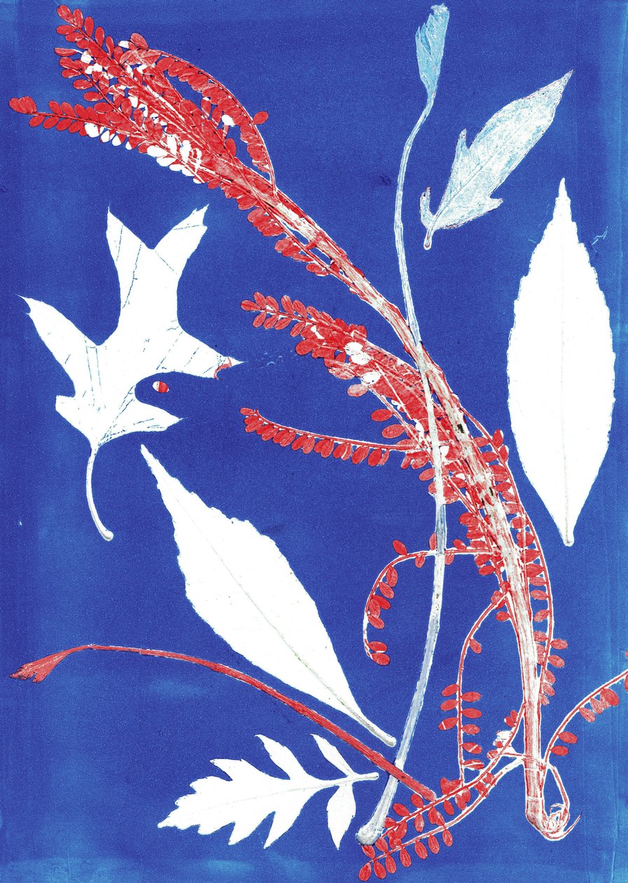 Jol I, 2017 (monoprint sur papier) - Stephen Dow