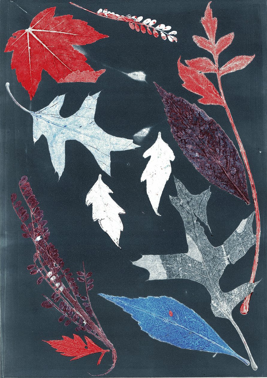 Jol X, 2017 (monoprint sur papier) - Stephen Dow