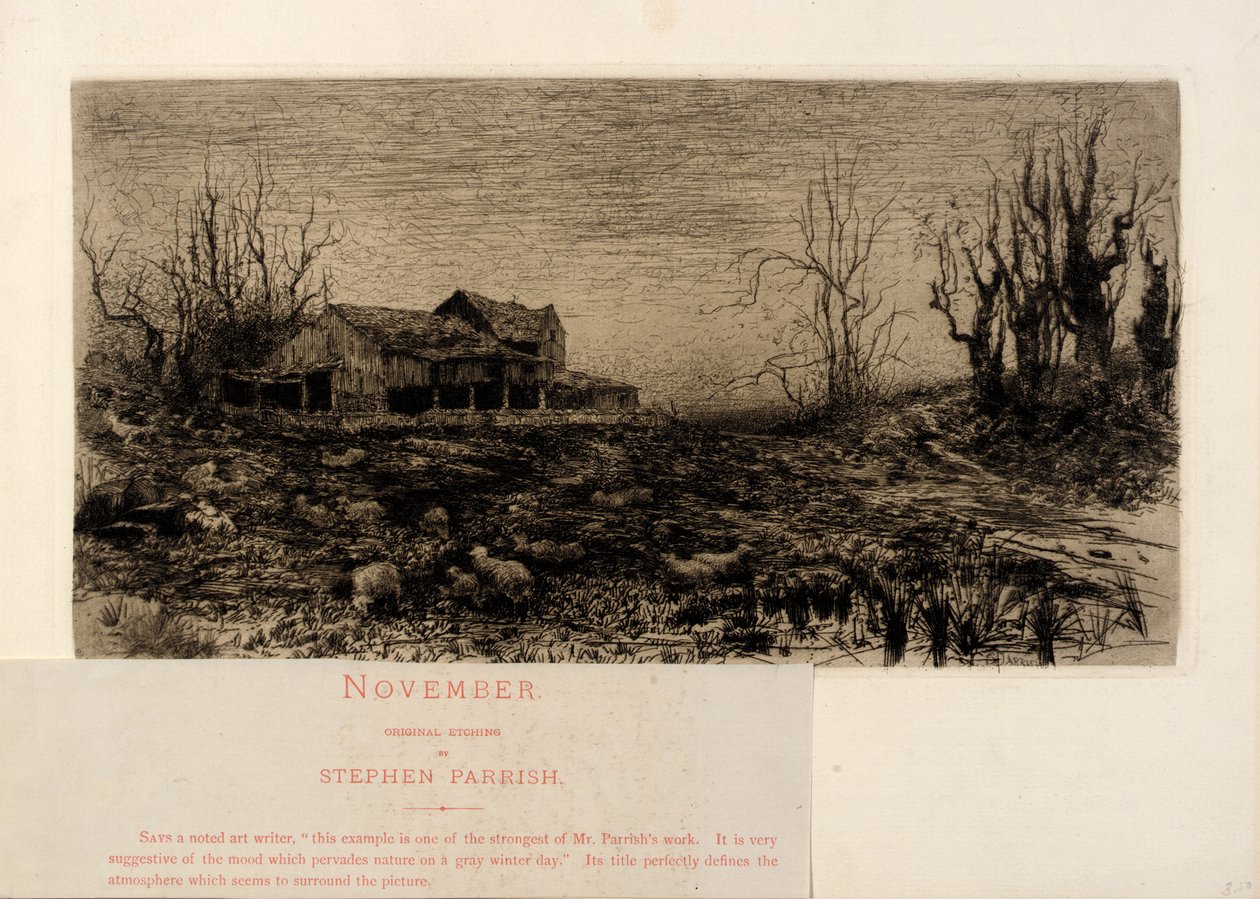 Novembre - Stephen Parrish