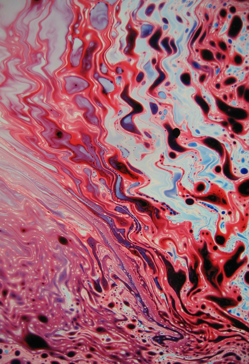 Incendie de rivière classique, 2024 - Steve Pavlovsky