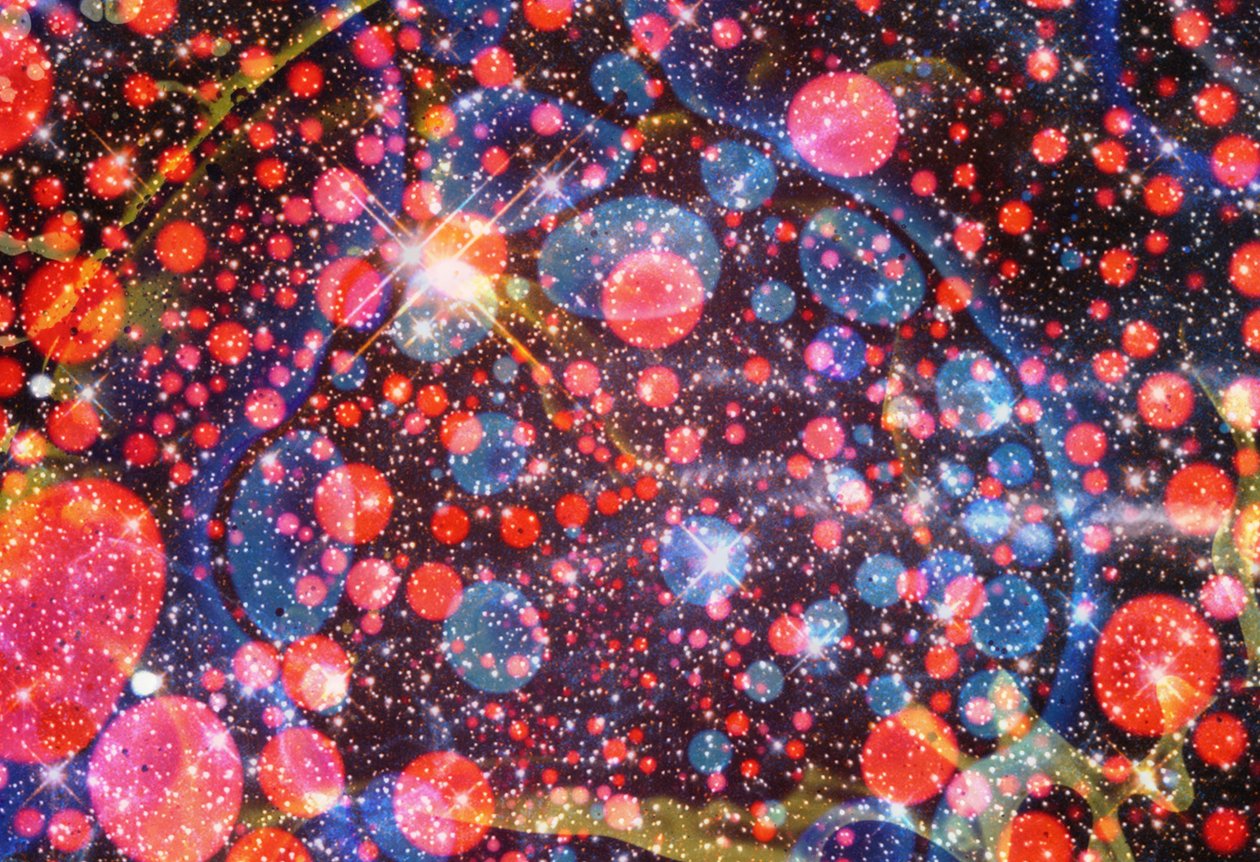 Multiverse #6, 2024 - Steve Pavlovsky