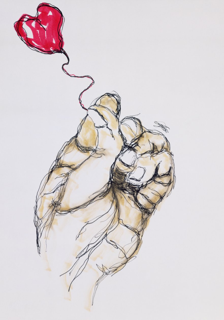 Te tenant, 1996 - Stevie Taylor