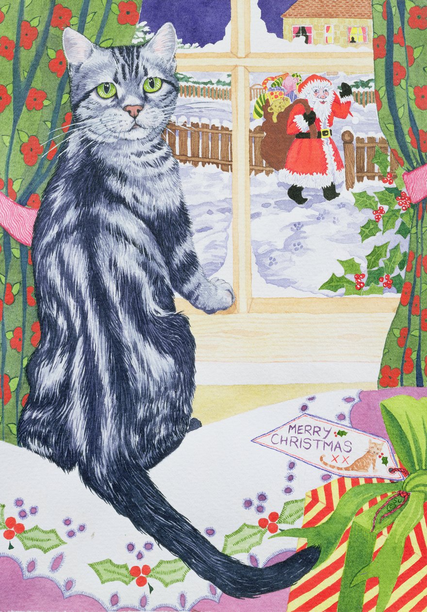 Un visiteur de Noël pour Toby - Suzanne Bailey