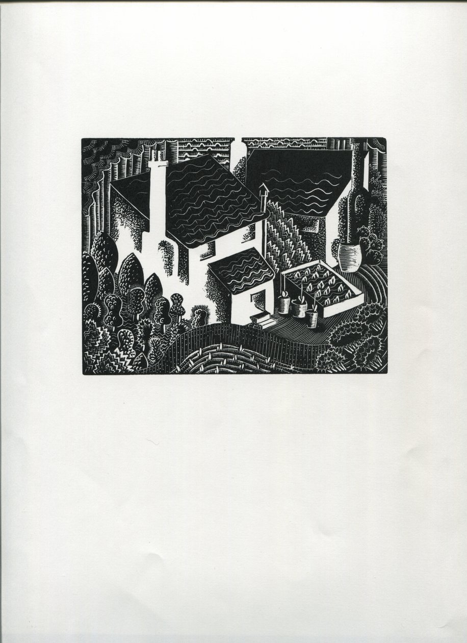 Jardins arrière - Suzanne Cooper