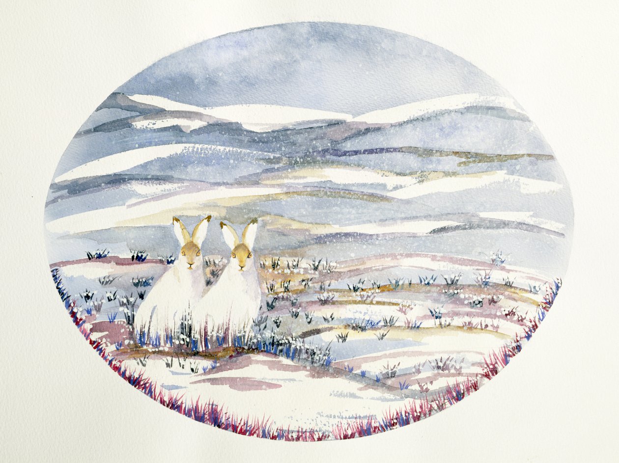 Deux lièvres dans un paysage enneigé - Suzi Kennett