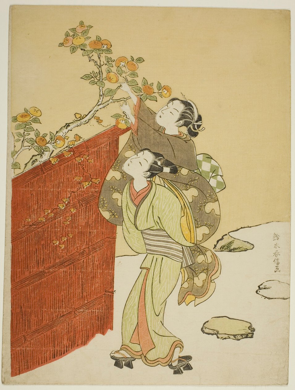 Cueillir des kakis - Suzuki Harunobu