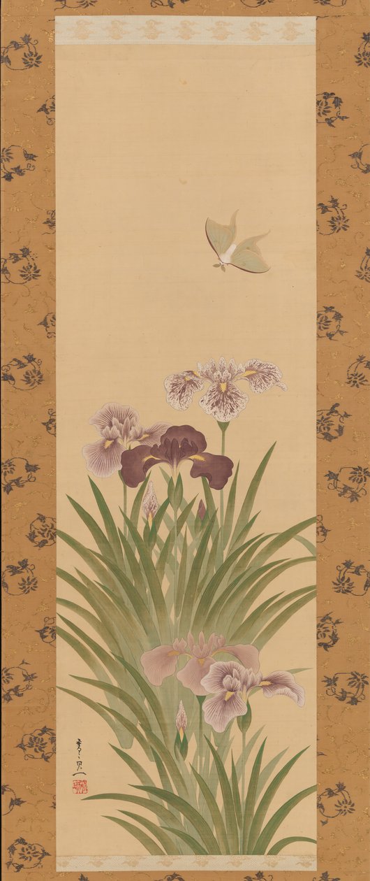 Iris et Papillon, vers 1850 - Suzuki Kiitsu