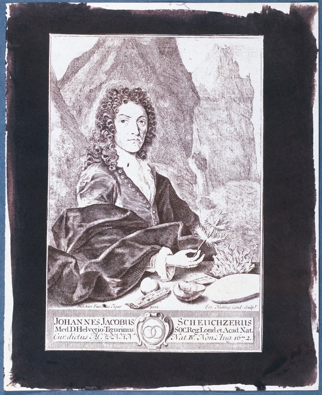 Johann Jakob Scheuchzer - Swiss School