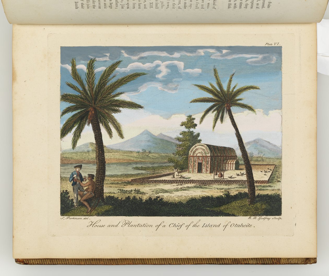 Maison et plantation d