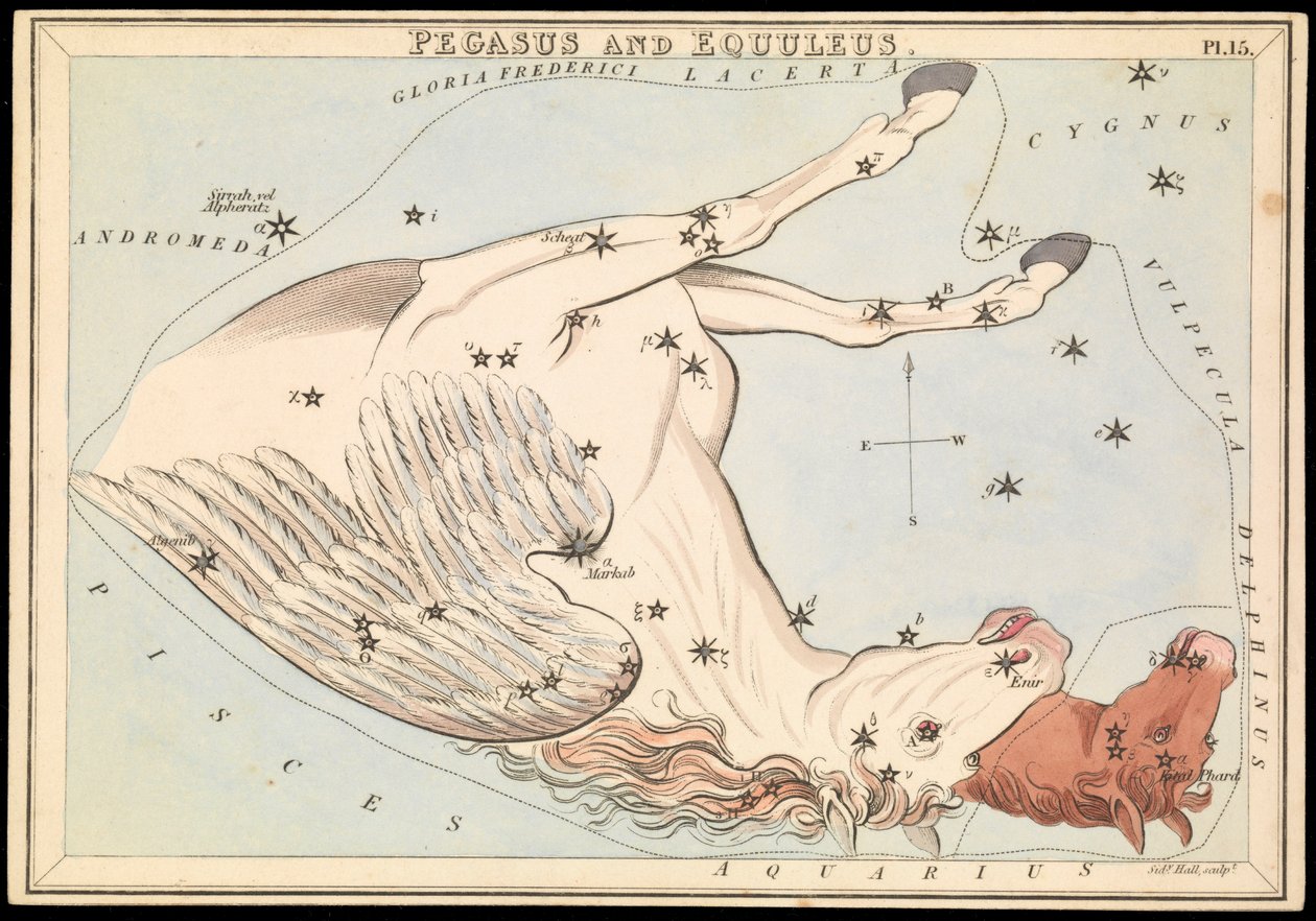 Pégase et Équuleus, c.1825 - Sydney Hall