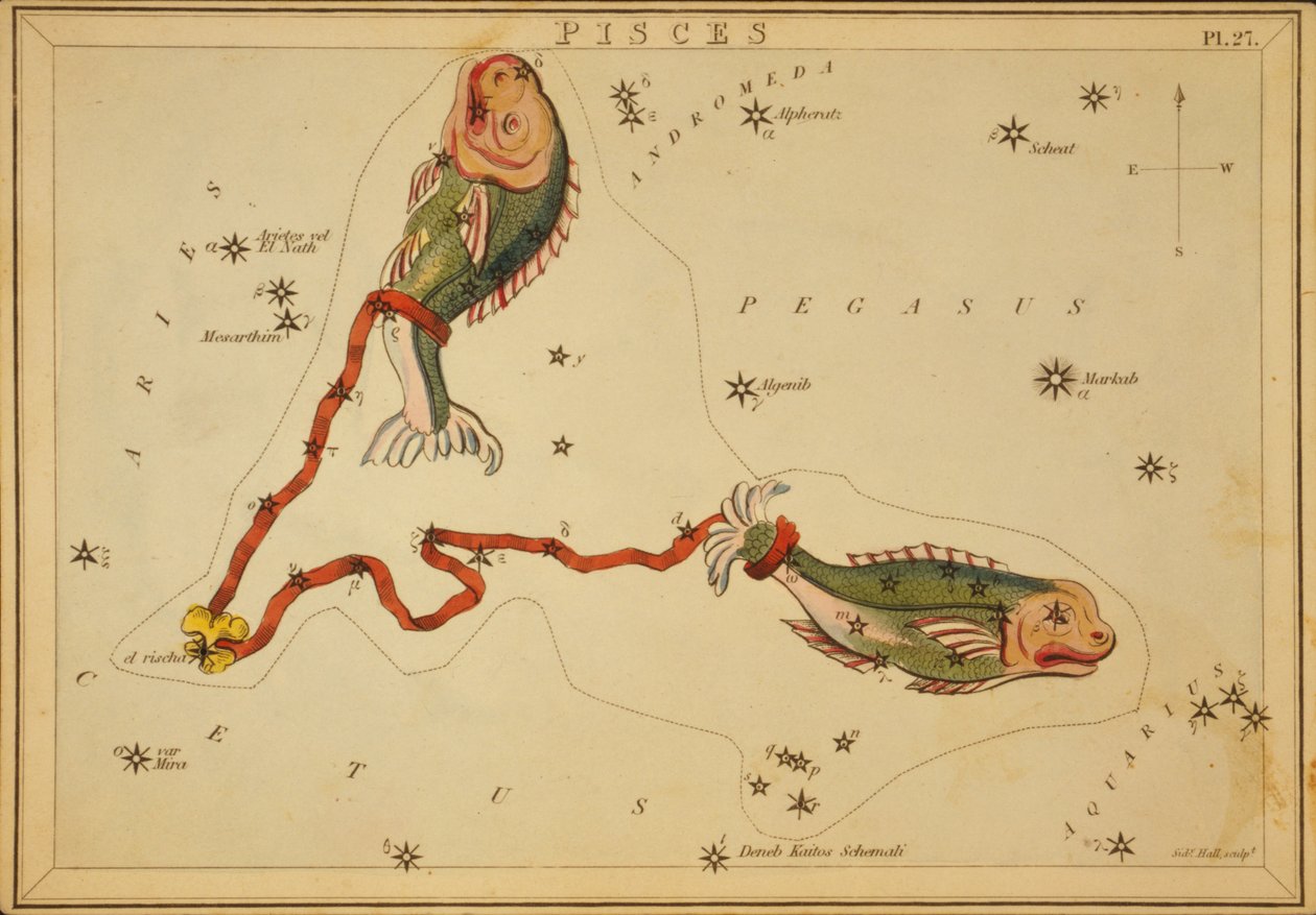 Poissons, Illustration de 