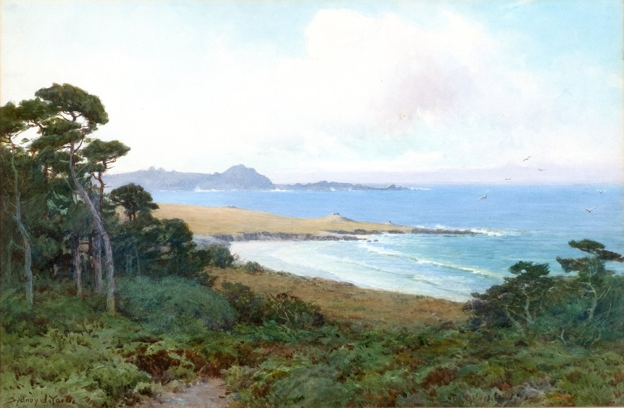 Vue de la baie de Monterey - Sydney Yard