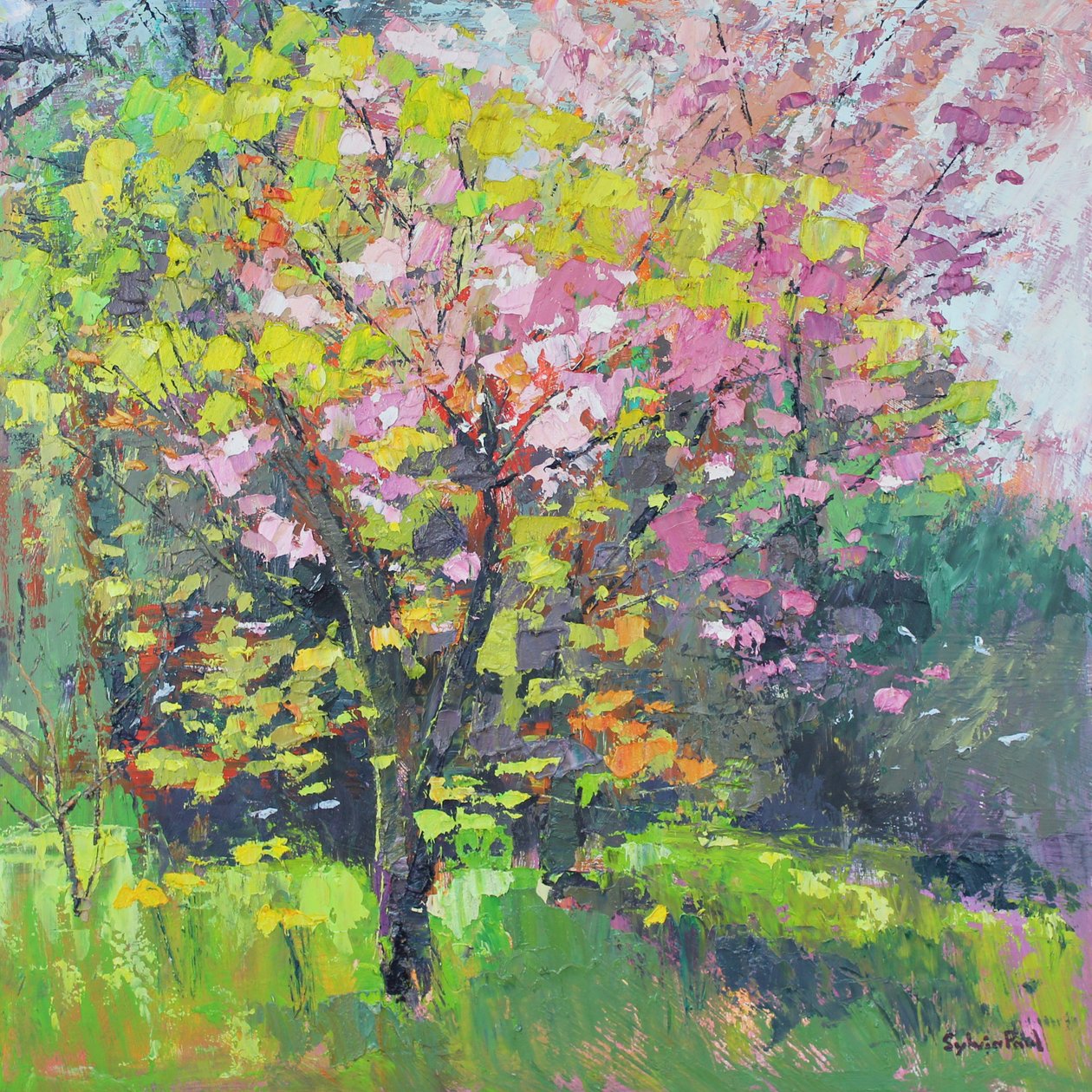Délice de fleurs - Sylvia Paul