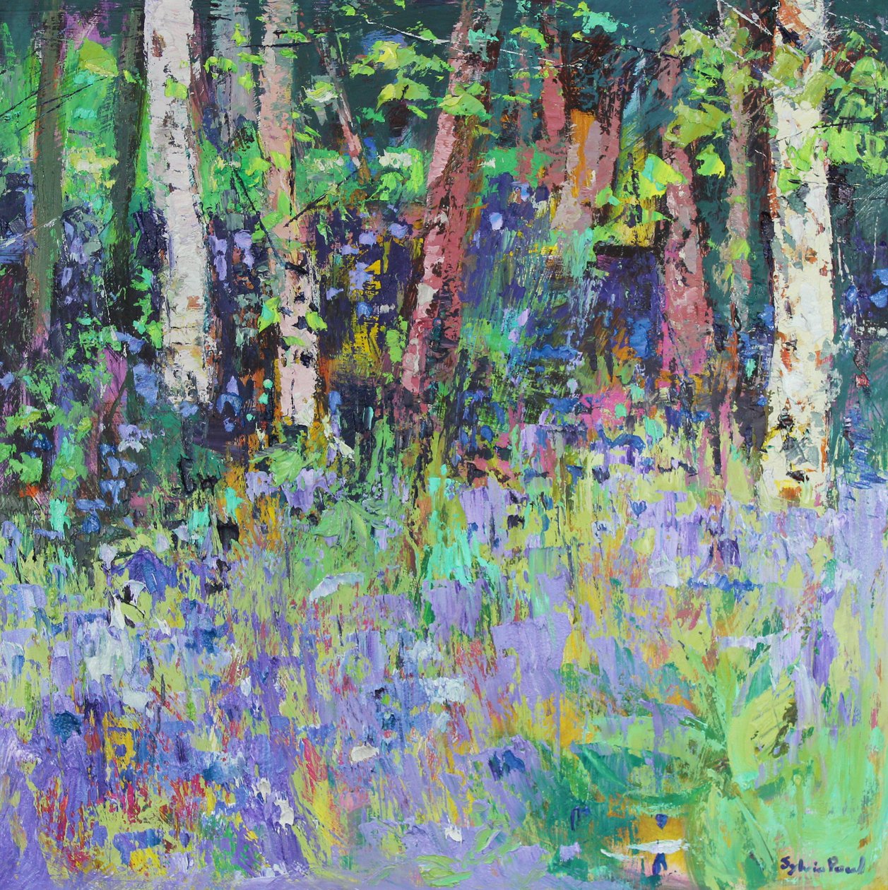 Temps des jacinthes - Sylvia Paul