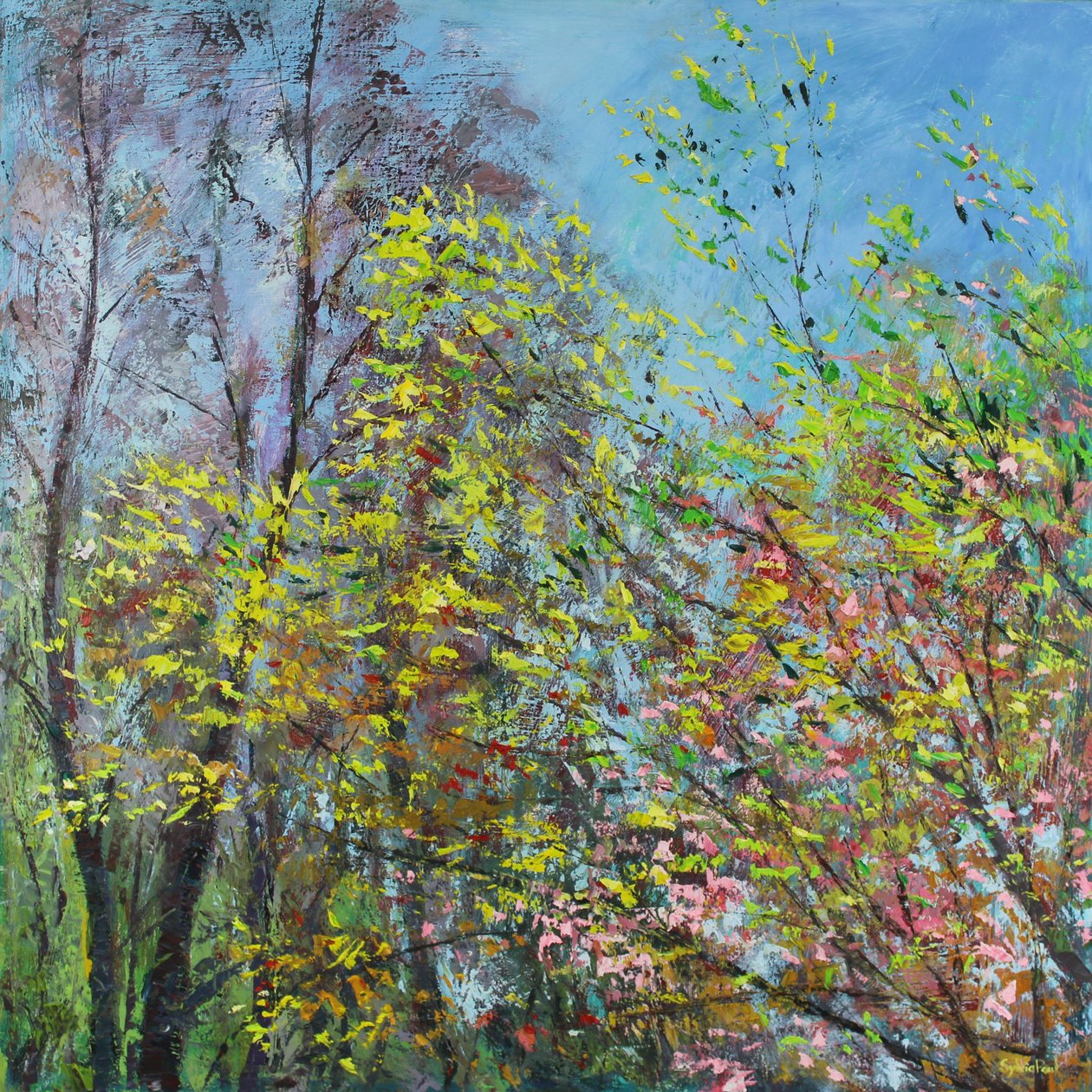 Feuilles délicates du printemps - Sylvia Paul