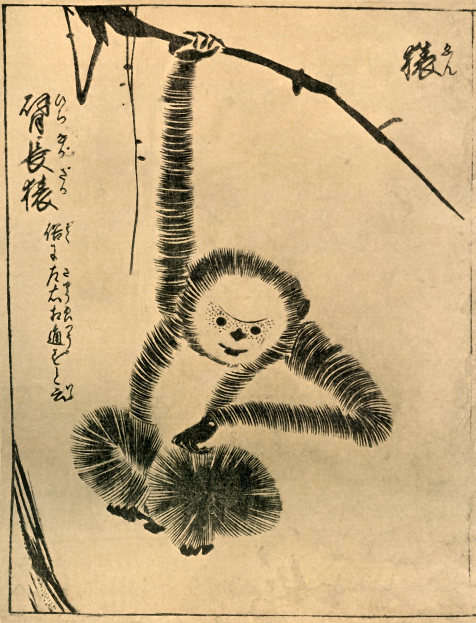 Singe, 1720, 1924 - Tachibana Morikuni
