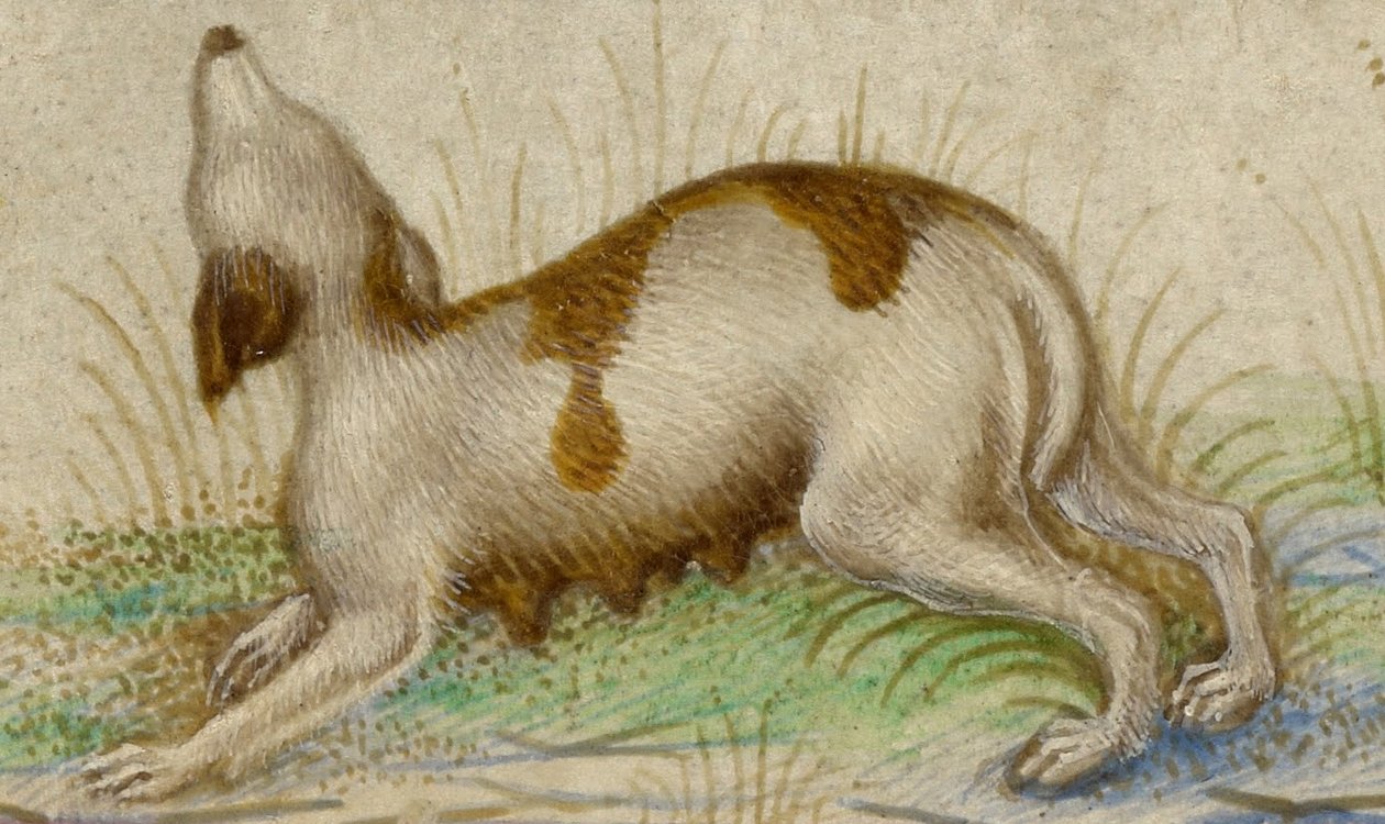 Heures - Taddeo Crivelli