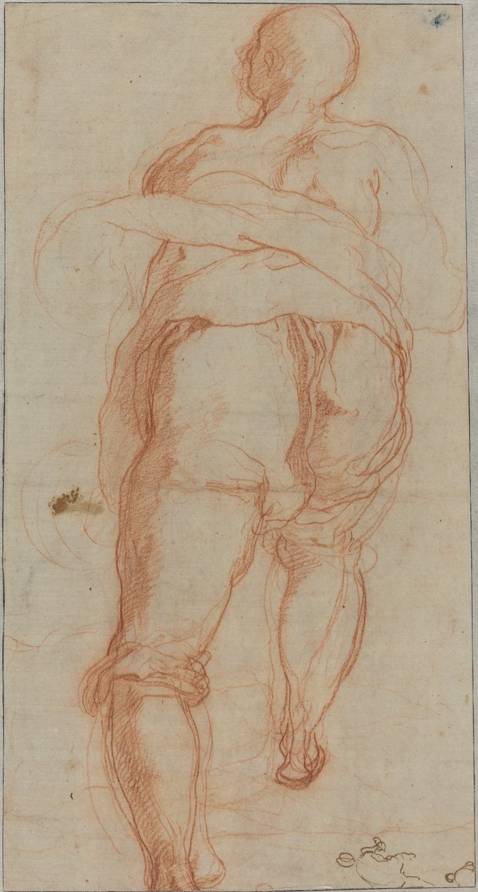 Un homme vu de dos (verso) - Taddeo Zuccaro