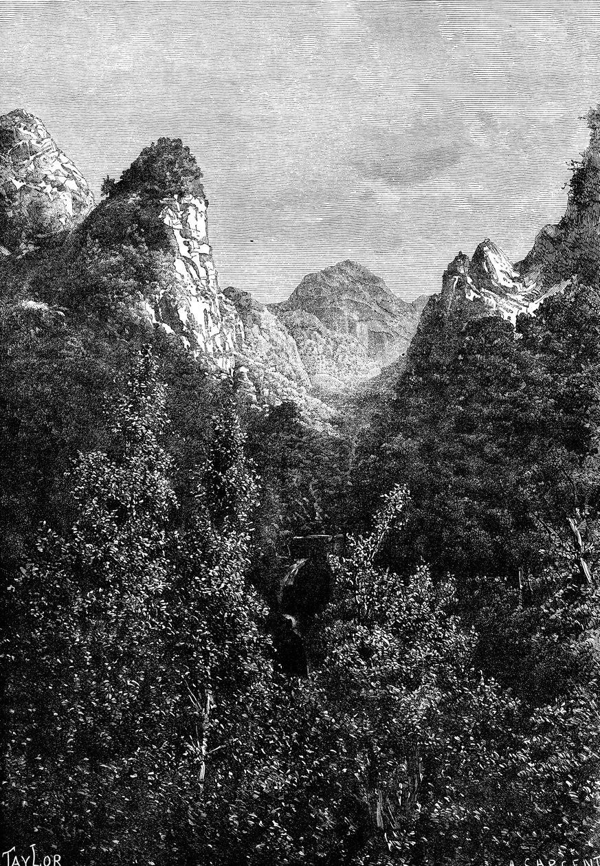 Madère, Portugal, 1895 - Taylor