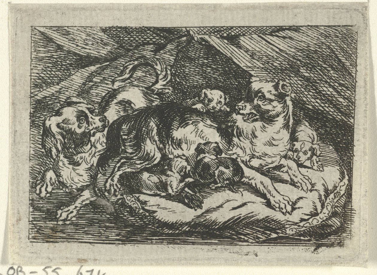 Nid avec chiots - Tethart Philip Christian Haag