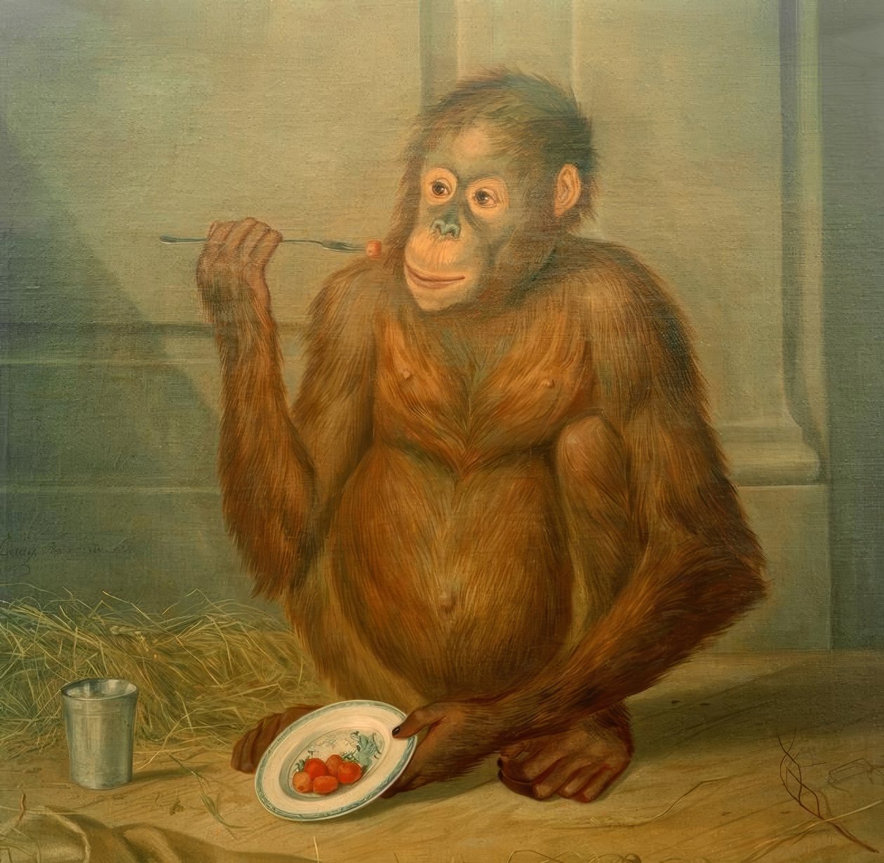 Orang-outan mangeant des fraises - Tethart Philipp Christian Haag