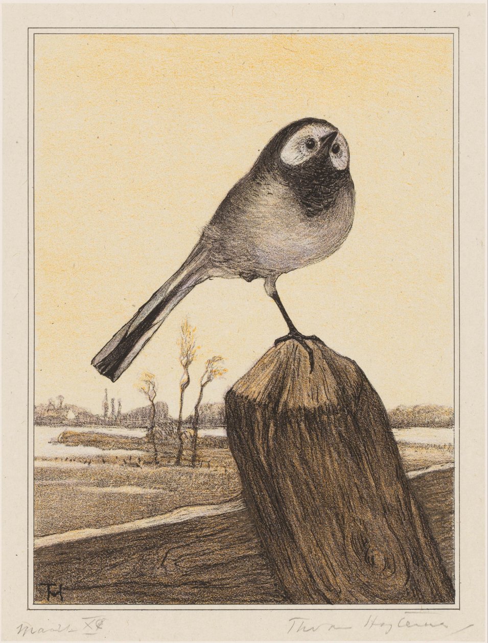 Bergeronnette sur un poteau - Theo van Hoytema (signed by artist)