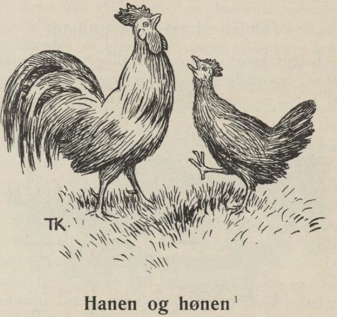 Le coq et la poule - Theodor Kittelsen