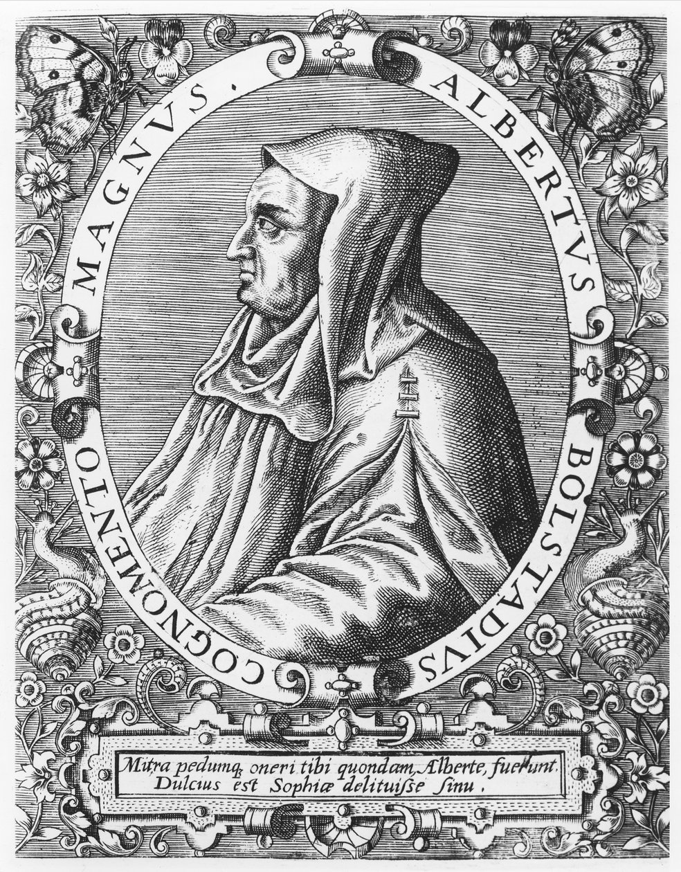 Albertus Magnus - Theodore de Bry