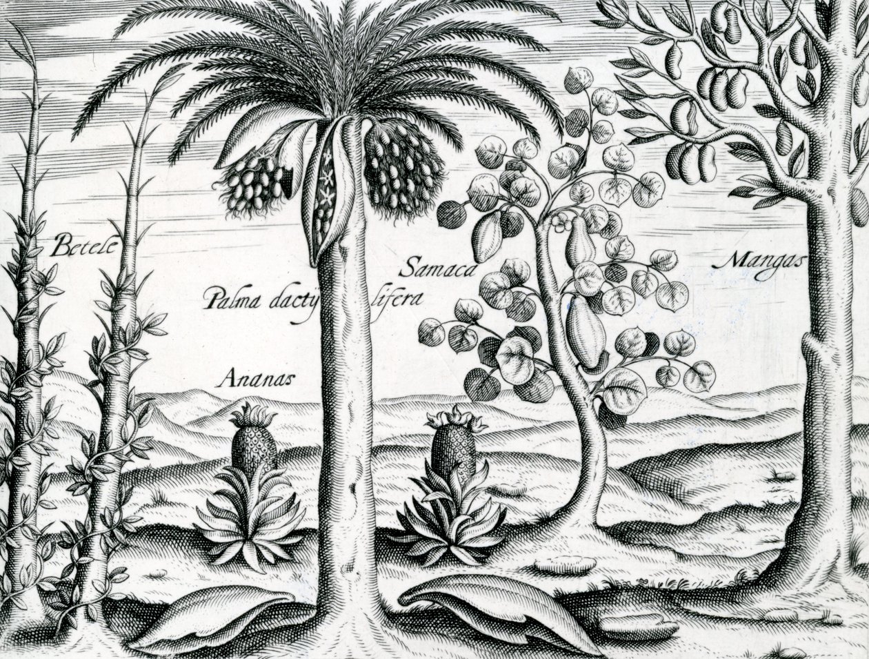 Paysage, Illustration de 