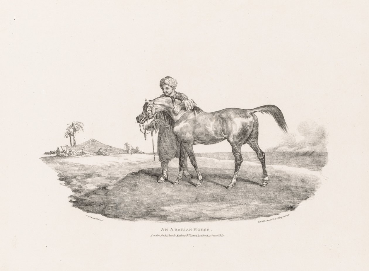 Un cheval arabe - Theodore Gericault