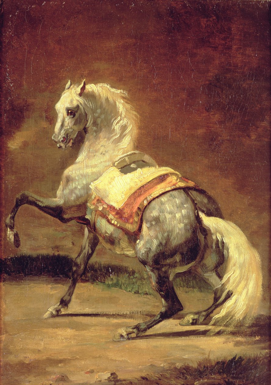 Cheval gris pommelé - Theodore Gericault