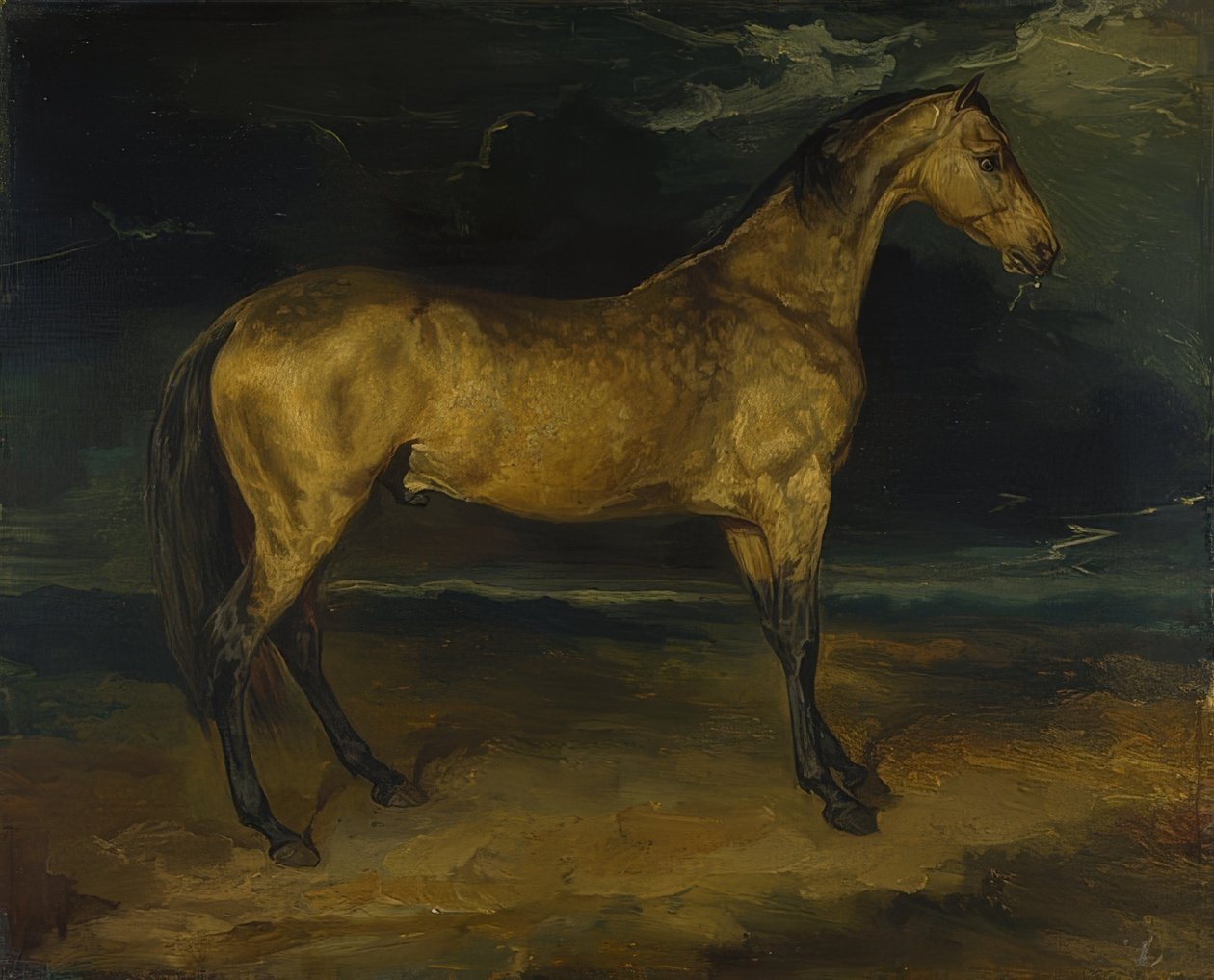 Un cheval dans l